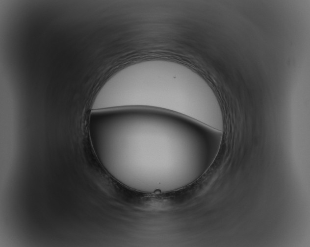 X0000099570601200805160727