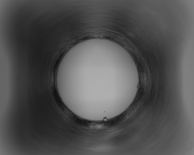 X0000099570602200805160727