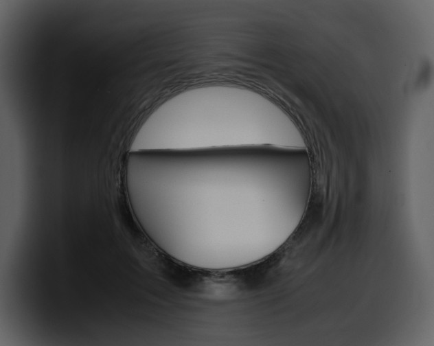 X0000099570603200805160727