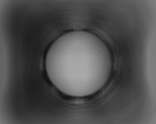 X0000099570604200805160727