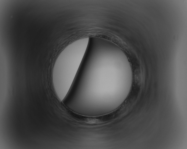 X0000099570605200805160727