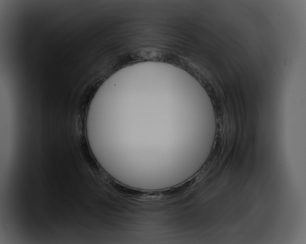X0000099570606200805160727