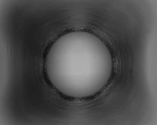 X0000099570608200805160727
