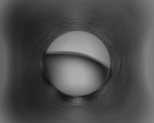 X0000099570609200805160727