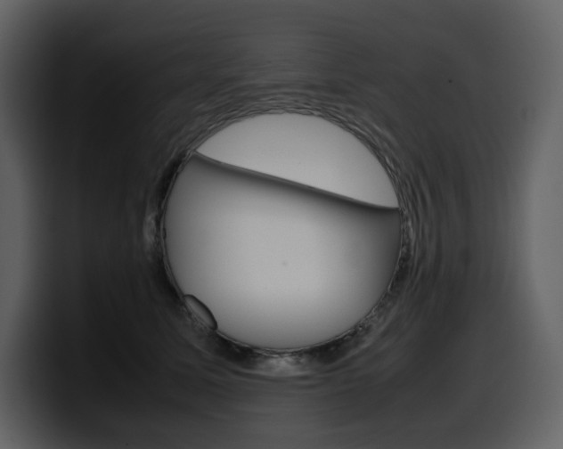 X0000099570611200805160727