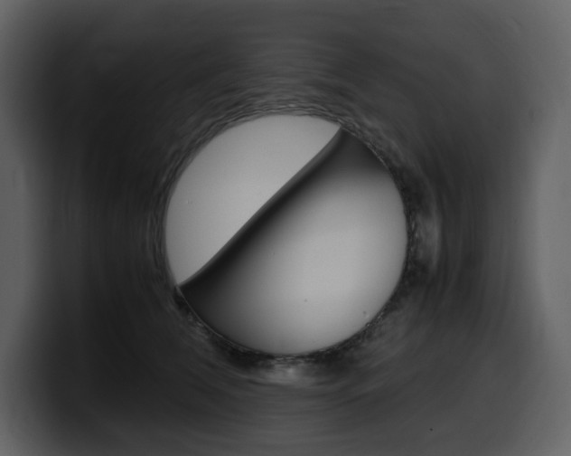 X0000099570612200805160727