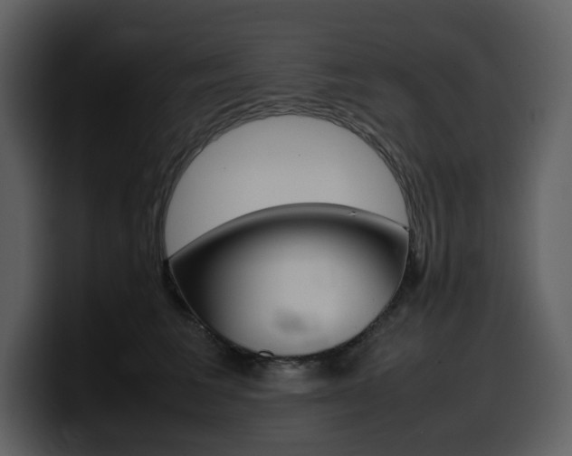 X0000099570613200805160727