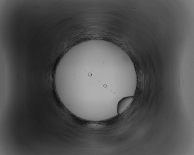 X0000099570614200805160727