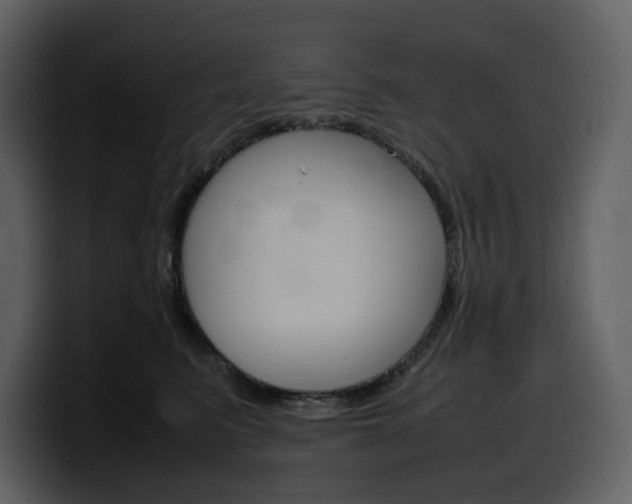 X0000099570615200805160727