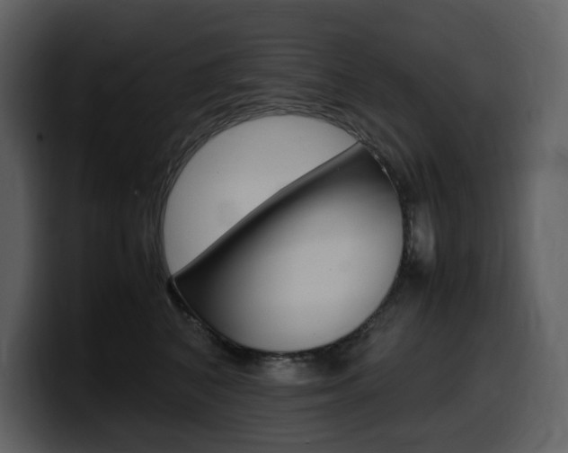 X0000099570616200805160727