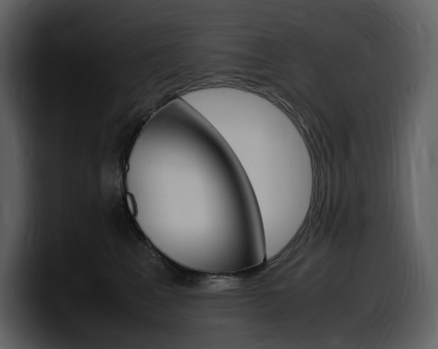 X0000099570617200805160727