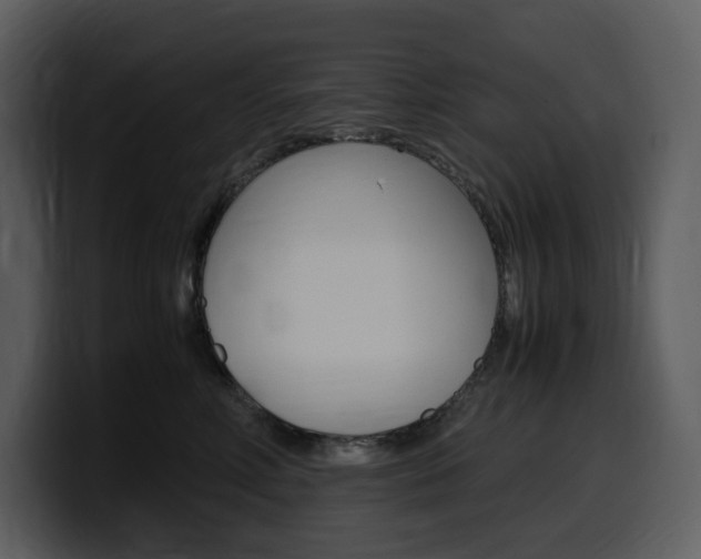X0000099570618200805160727