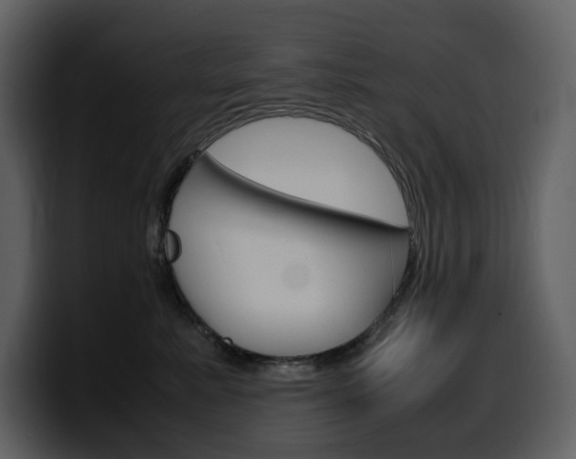 X0000099570619200805160727
