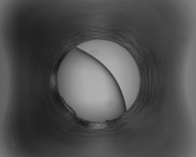 X0000099570621200805160727