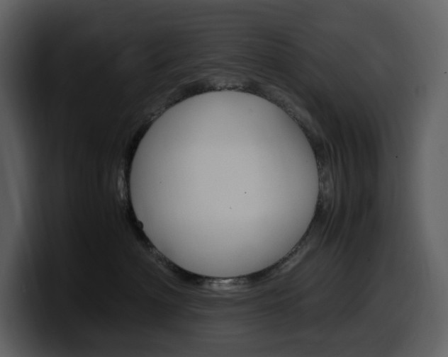 X0000099570622200805160727