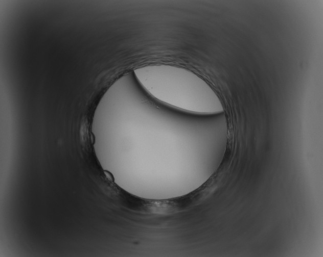 X0000099570623200805160727