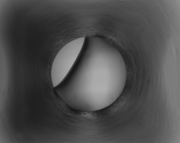 X0000099570624200805160727