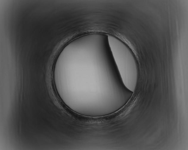 X0000099570625200805160726