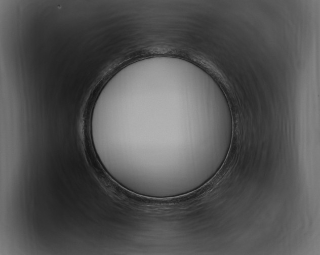 X0000099570626200805160726