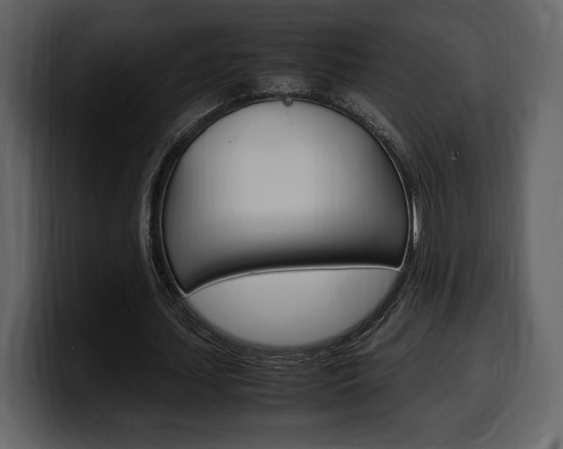 X0000099570627200805160726