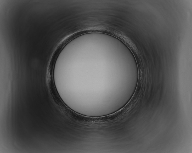 X0000099570628200805160726
