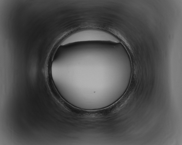 X0000099570629200805160726