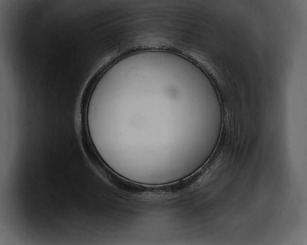 X0000099570630200805160726