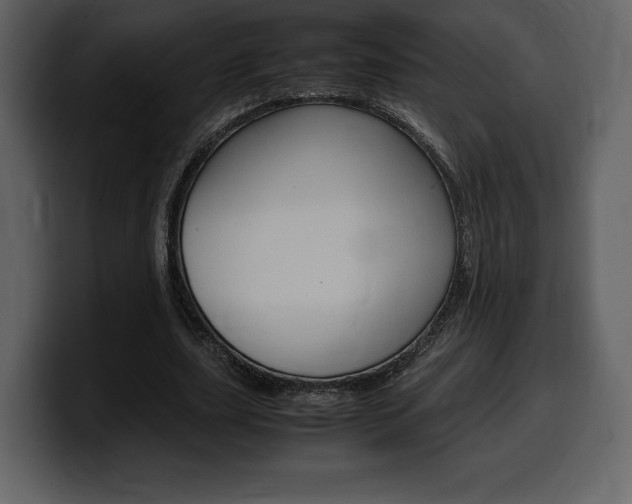 X0000099570631200805160726