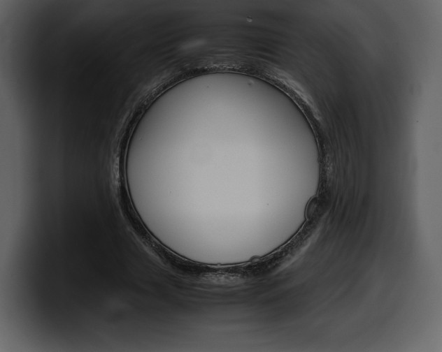 X0000099570633200805160726