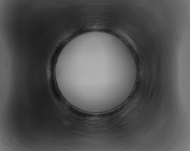 X0000099570635200805160726