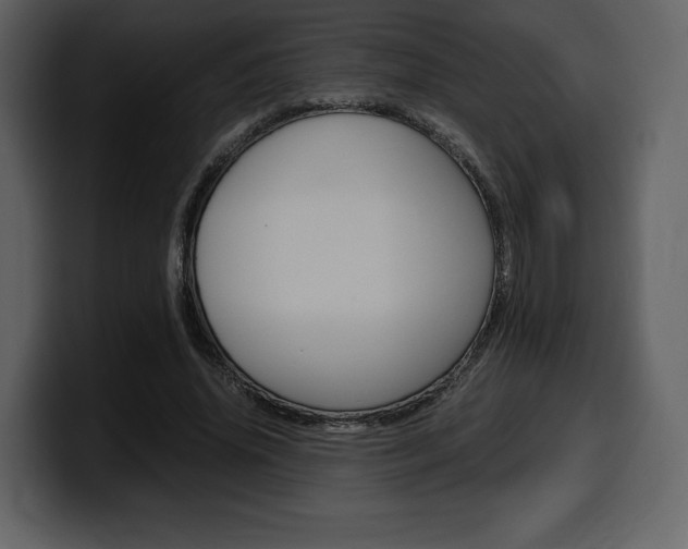 X0000099570636200805160726