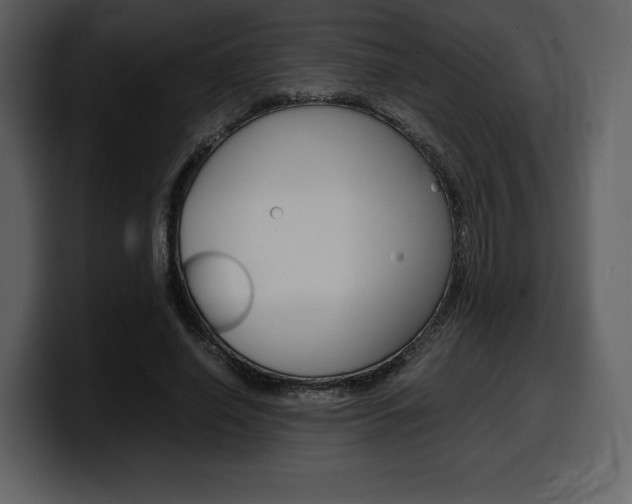 X0000099570638200805160726