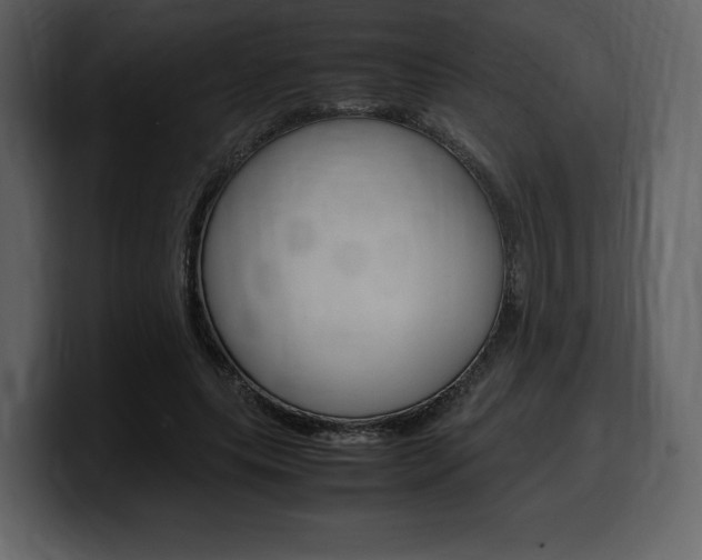 X0000099570639200805160726