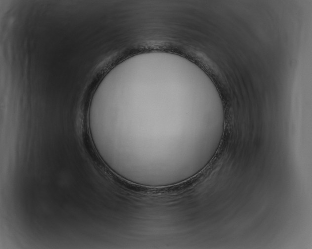 X0000099570640200805160726