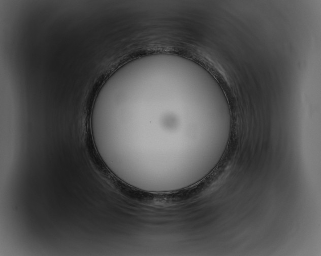X0000099570641200805160726