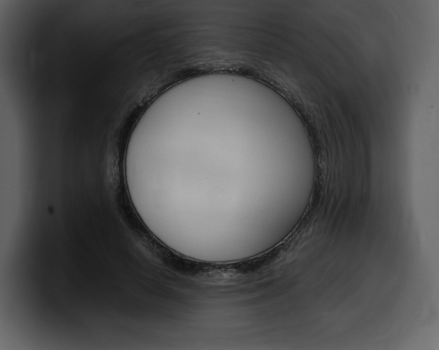 X0000099570642200805160726