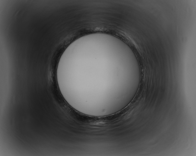 X0000099570643200805160726