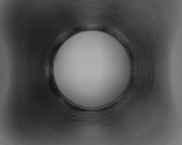 X0000099570644200805160726