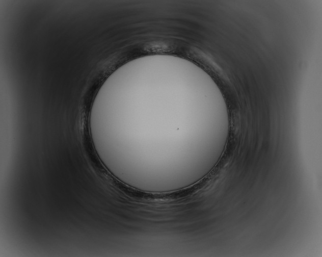X0000099570645200805160726