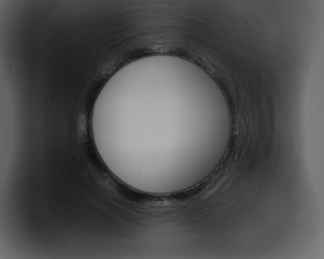 X0000099570646200805160726