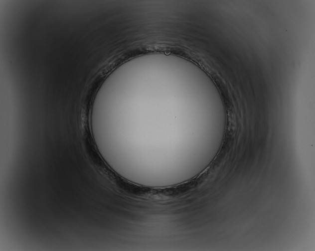 X0000099570648200805160726
