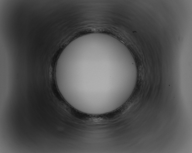 X0000099570650200805160727