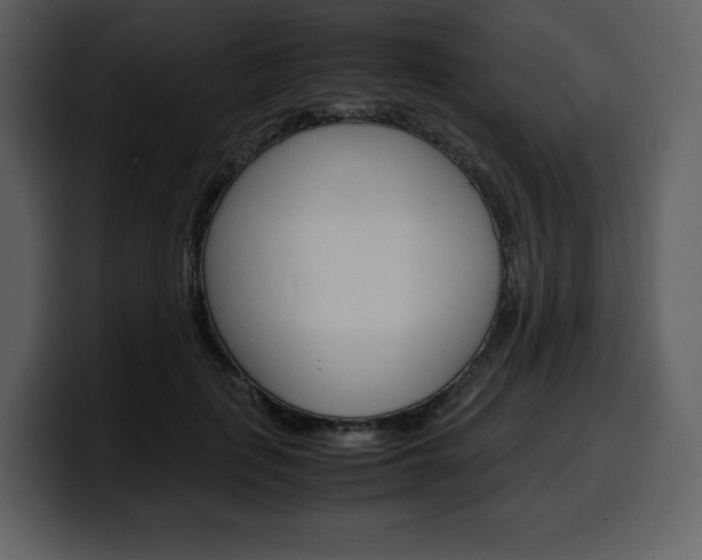 X0000099570651200805160727
