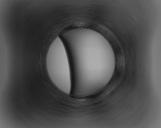 X0000099570653200805160727