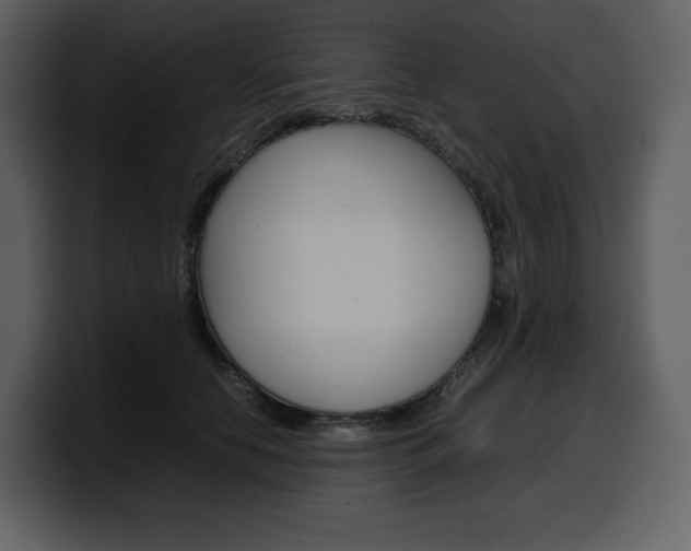 X0000099570658200805160727