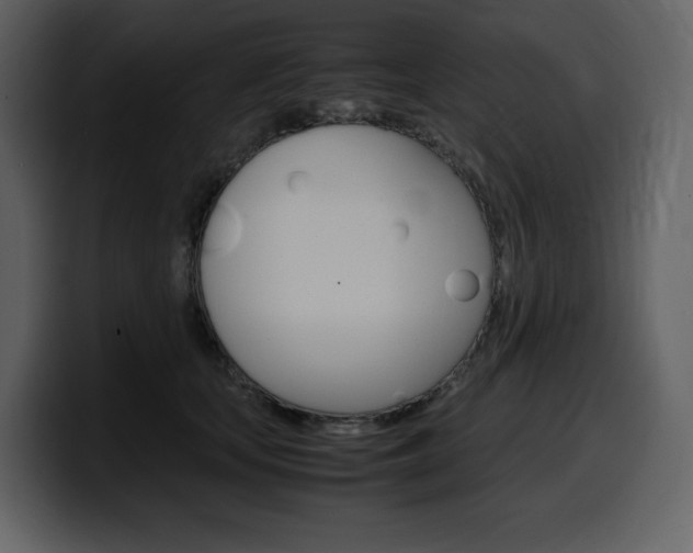 X0000099570659200805160727