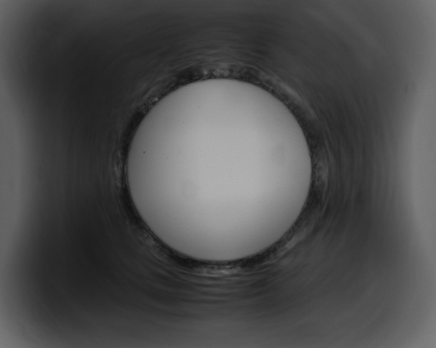 X0000099570661200805160727