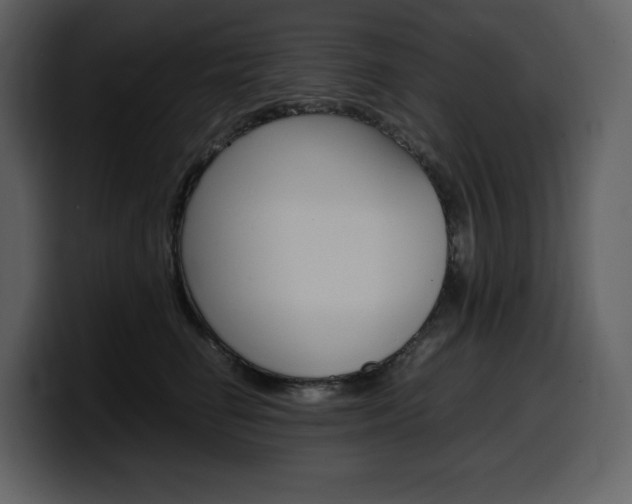 X0000099570662200805160727