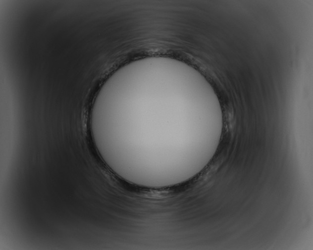 X0000099570664200805160727