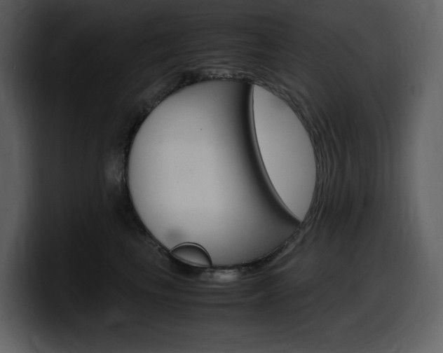 X0000099570665200805160727